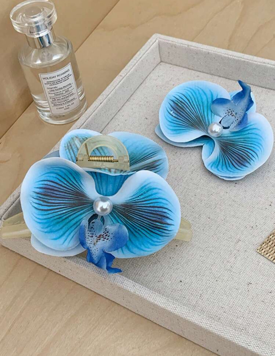 Phalaenopsis