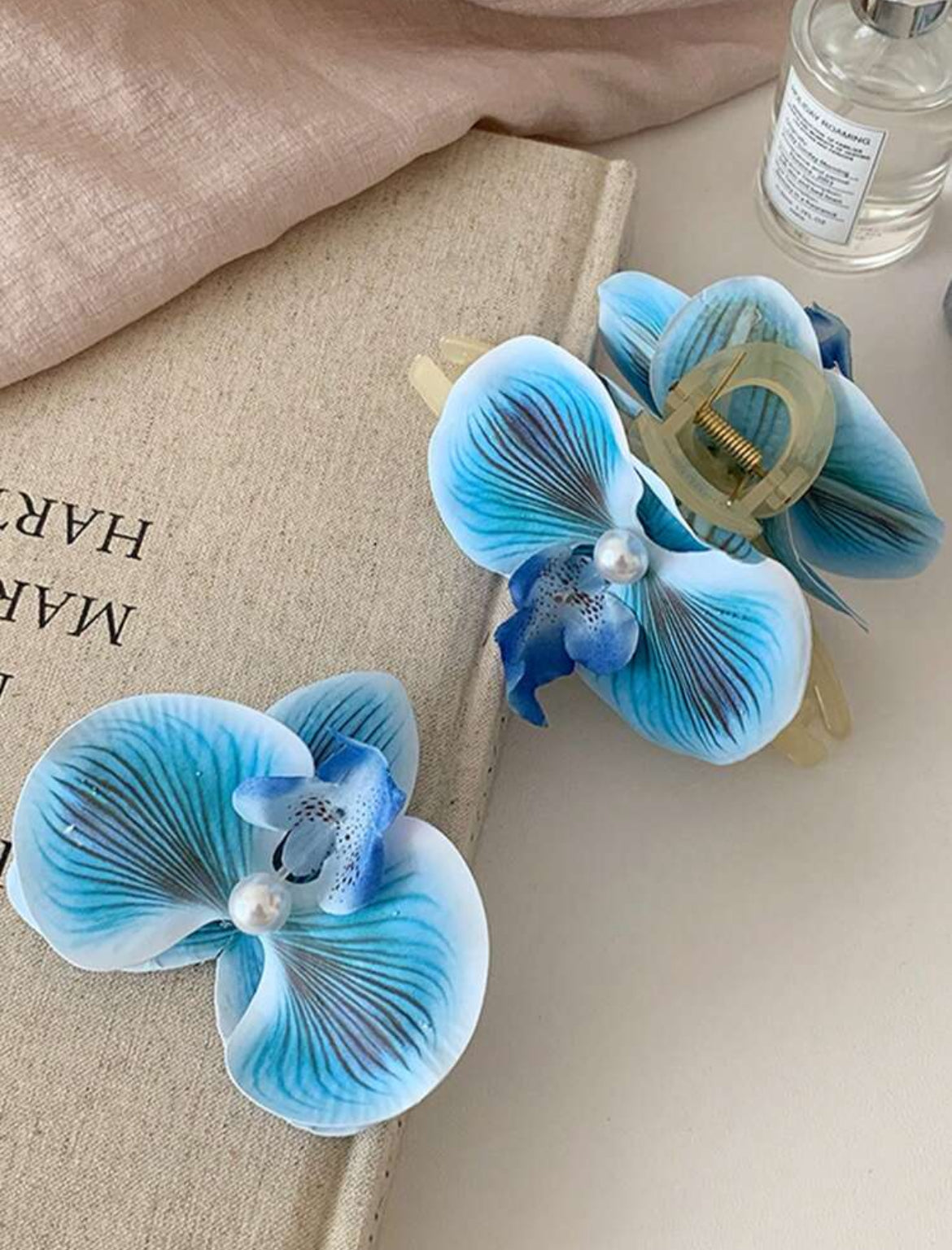 Phalaenopsis